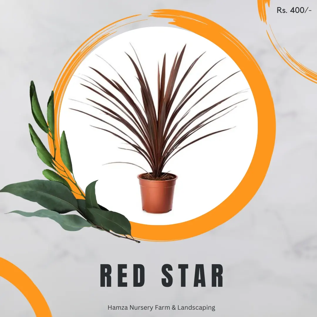 Red Star