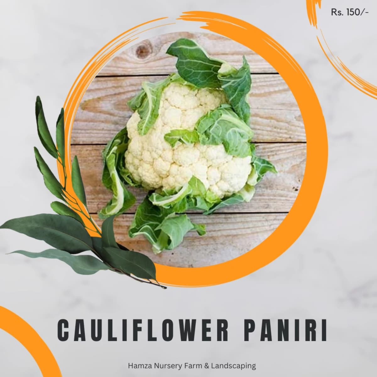Cauliflower Paniri