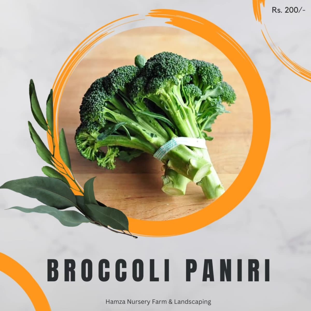 Broccoli Paniri