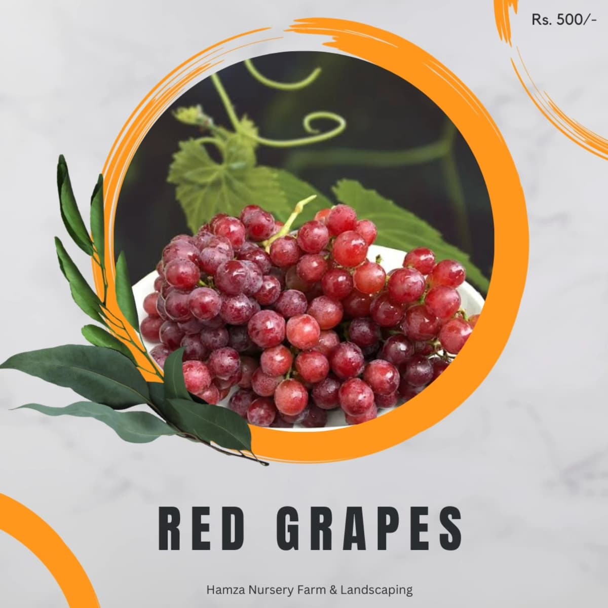 Red Grapes