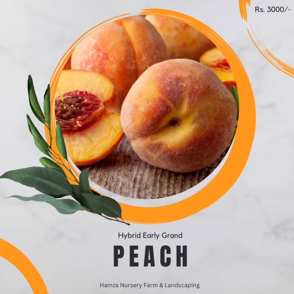 Early Grand Peach