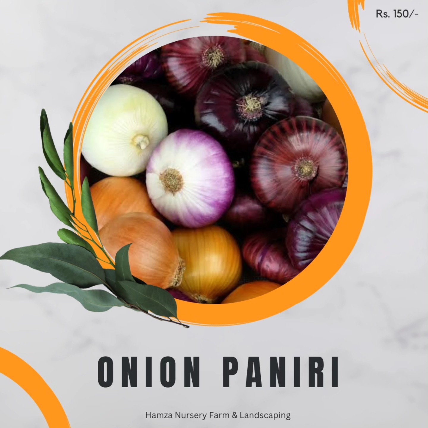 O Nion Paniri